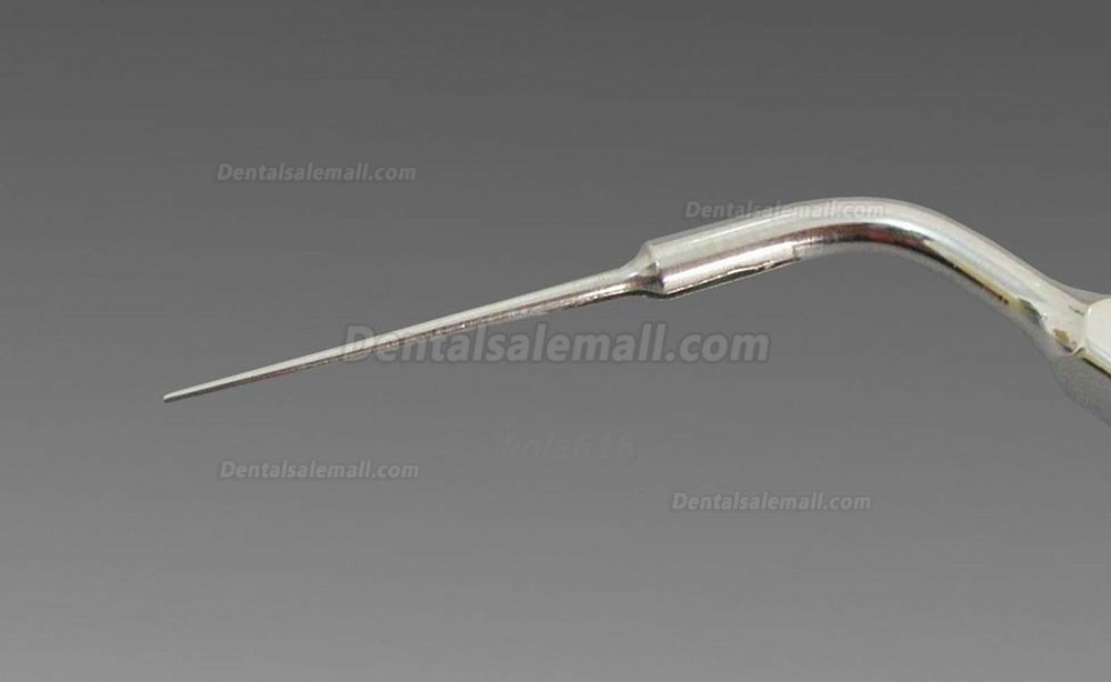 5Pcs Woodpecker E15 Dental Ultrasonic Scaler Endodontic Tips Fit EMS UDS Handpiece